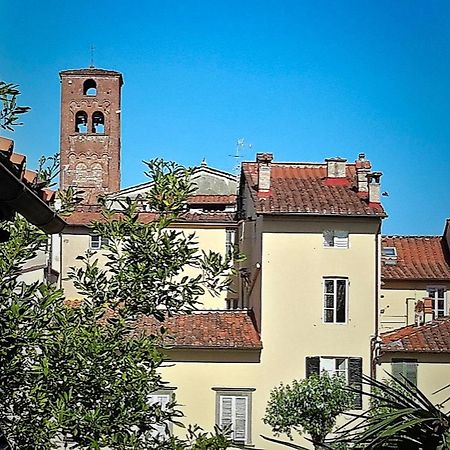 La Butterfly Guest Apartment Lucca Exterior photo